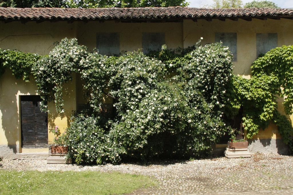 Apartament Borgo Archinto Robecco sul Naviglio Zewnętrze zdjęcie